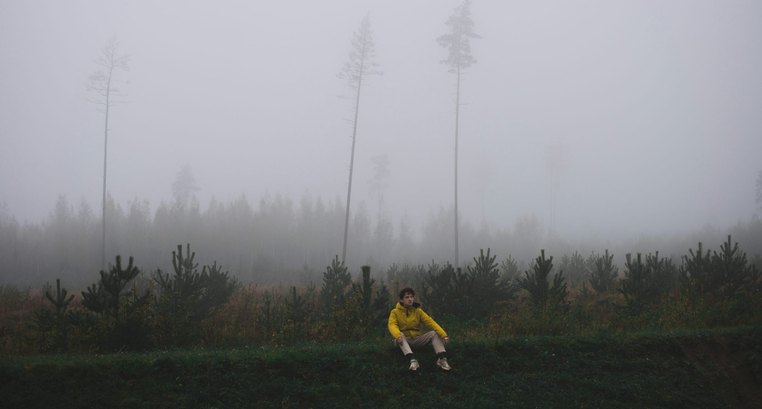 The Book That’s Also a Rebbe