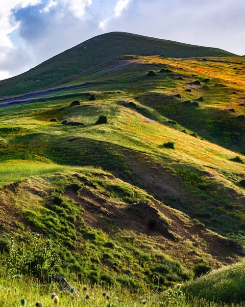 The Torah of the Night: A Shavuos Reader
