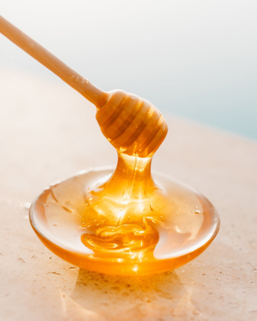 This Thanksgiving, Let’s Grow in Gratitude