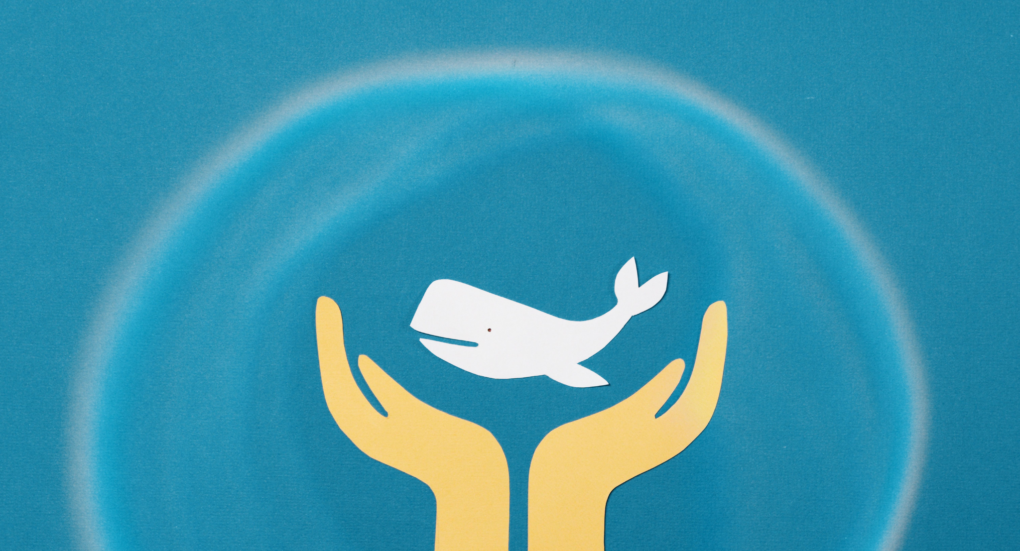 Self-Deception and Redemption in the Book of Jonah